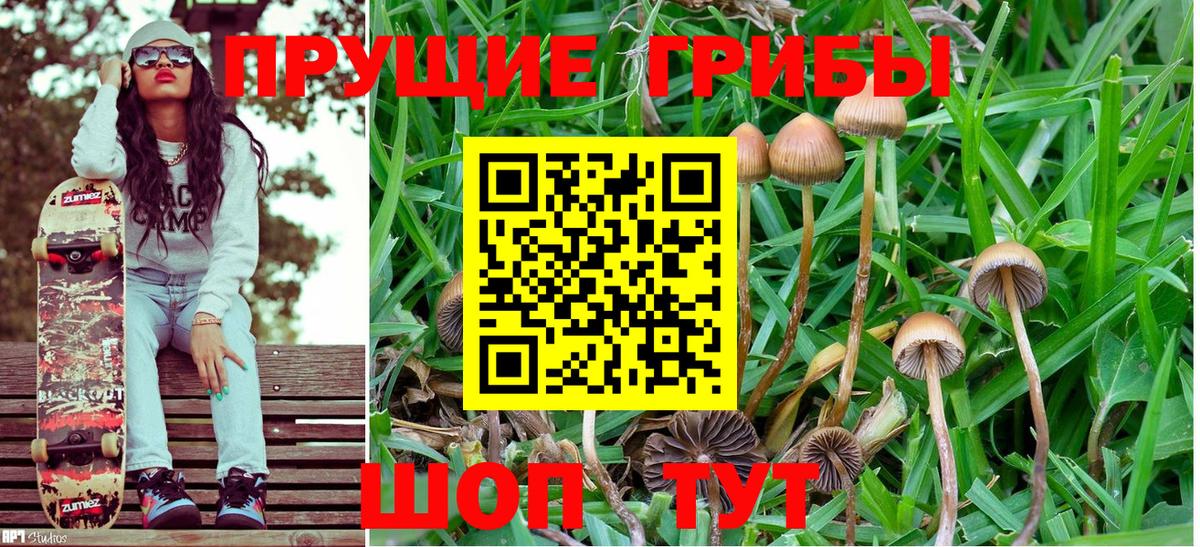 Галлюциногенные грибы Cubensis Азов